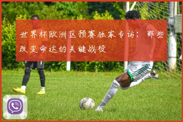 世界杯欧洲区预赛独家专访：那些改变命运的关键战役