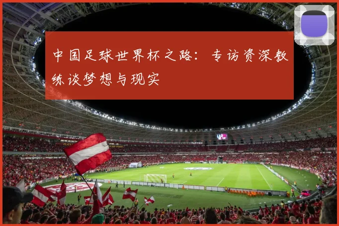 中国足球世界杯之路:专访资深教练谈梦想与现实