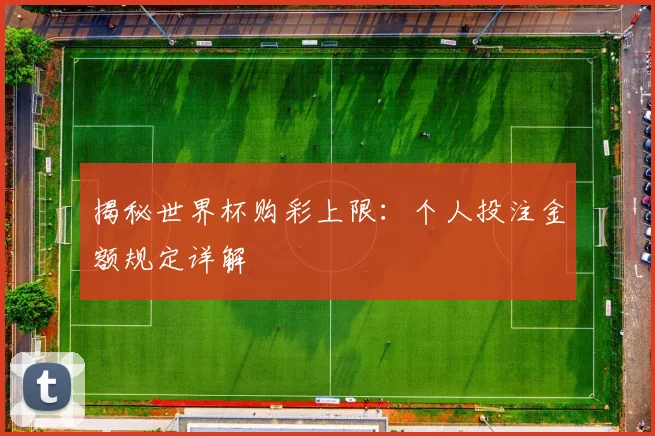 揭秘世界杯购彩上限:个人投注金额规定详解
