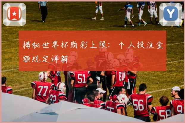 揭秘世界杯购彩上限:个人投注金额规定详解