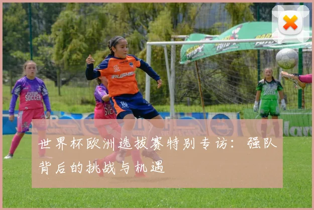 世界杯欧洲选拔赛特别专访：强队背后的挑战与机遇