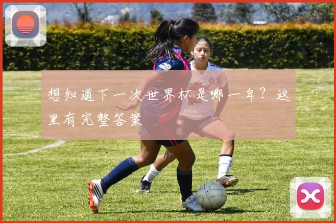 想知道下一次世界杯是哪一年？这里有完整答案